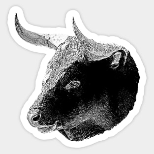 Bull head Sticker